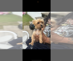 Small #4 Breeder Profile image
