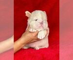 Small #10 Breeder Profile image