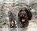Small #8 Breeder Profile image