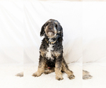 Small #7 Breeder Profile image