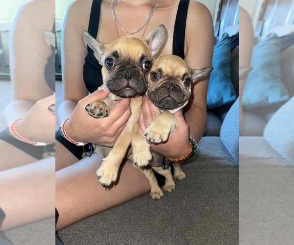 Medium Photo #1  Breeder Profile in RIVERSIDE, CA, USA