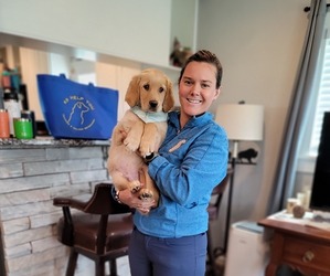 Medium Breeder Profile Photo