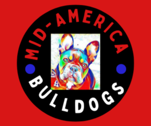 French Bulldog Dog Breeder near JOPLIN, MO, USA
