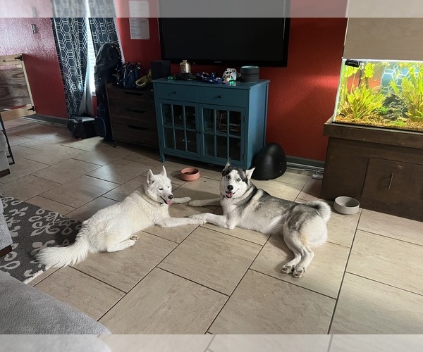 Medium Photo #1  Breeder Profile in CARENCRO, LA, USA