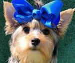 Small #18 Breeder Profile image