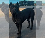Small #15 Breeder Profile image