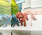 Small #4 Breeder Profile image