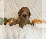 Small #2 Breeder Profile image