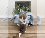 Small #22 Breeder Profile image