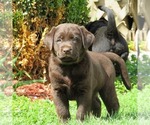 Small #8 Breeder Profile image