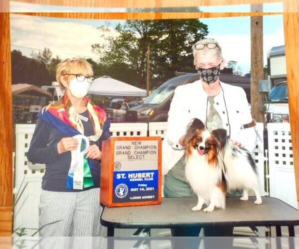 Medium Photo #3  Breeder Profile in CHINO VALLEY, AZ, USA