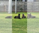 Small #8 Breeder Profile image