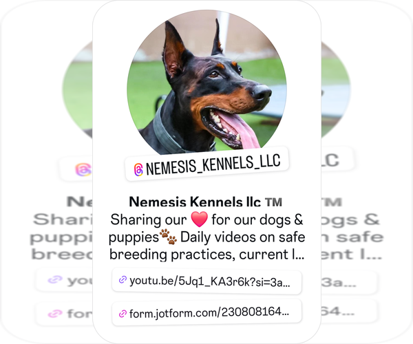 Medium Photo #4  Breeder Profile in PHELAN, CA, USA