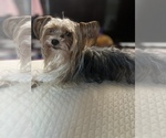 Small #15 Breeder Profile image