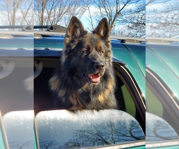 Medium Photo #1  Breeder Profile in Pittsfield, NH, USA