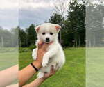Small #6 Breeder Profile image