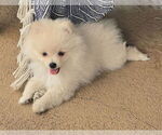 Small #6 Breeder Profile image