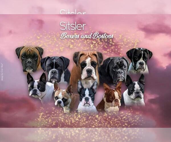 Medium Photo #1  Breeder Profile in SALINA, OK, USA