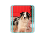 Small #14 Breeder Profile image