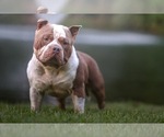 Small #16 Breeder Profile image