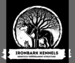 Small #1 Breeder Profile image