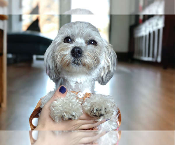 Medium Photo #21  Breeder Profile in BARREN SPRINGS, VA, USA