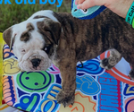 Small #5 Breeder Profile image