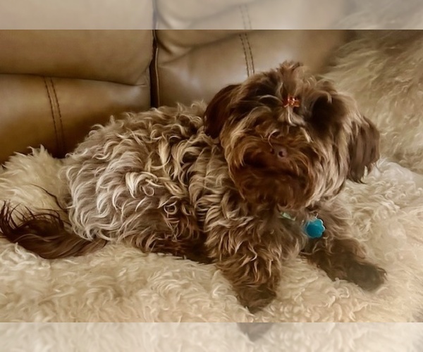 Medium Photo #6  Breeder Profile in EUREKA, MT, USA