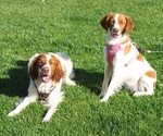 Small #7 Breeder Profile image
