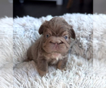 Small #3 Breeder Profile image