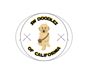 Golden Retriever-Goldendoodle Mix Dog Breeder near FONTANA, CA, USA