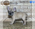 Small #3 Breeder Profile image