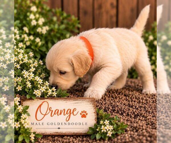 Medium Photo #2  Breeder Profile in MIDDLETOWN, OH, USA