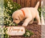 Small #1 Breeder Profile image