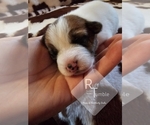 Small #17 Breeder Profile image