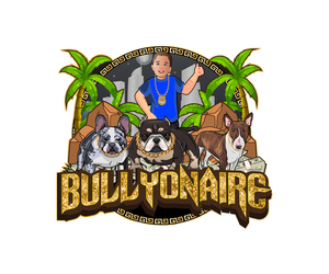American Bully Dog Breeder near MIAMI, FL, USA