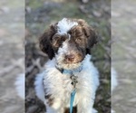 Small #13 Breeder Profile image