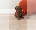 Small #3 Breeder Profile image
