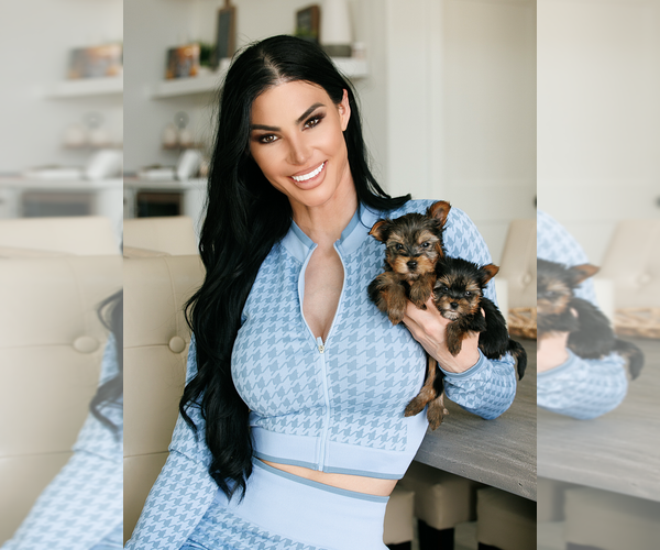 Medium Photo #4  Breeder Profile in WEST FARGO, ND, USA