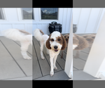 Small #13 Breeder Profile image