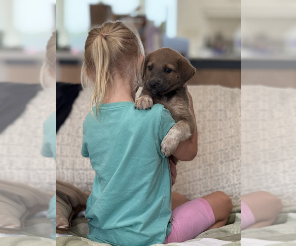 Medium Photo #1  Breeder Profile in HUNTINGTON, IN, USA