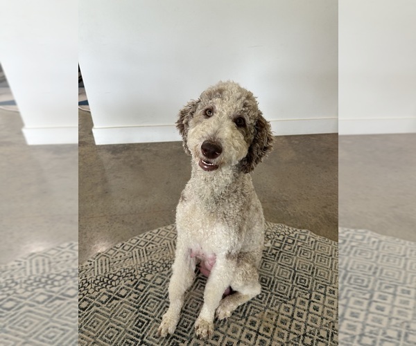 Medium Photo #1  Breeder Profile in CHARLESTOWN, IN, USA