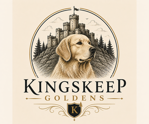 Golden Retriever Dog Breeder near PUYALLUP, WA, USA