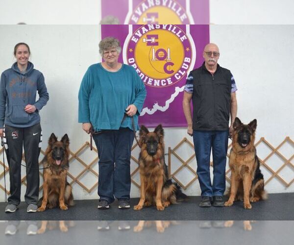Medium Photo #9  Breeder Profile in CHRISNEY, IN, USA