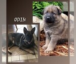 Small #12 Breeder Profile image