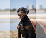Small #3 Breeder Profile image