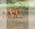 Small #1 Breeder Profile image