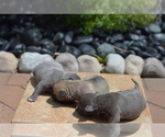 Small #2 Breeder Profile image