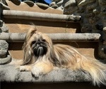 Small #1 Breeder Profile image