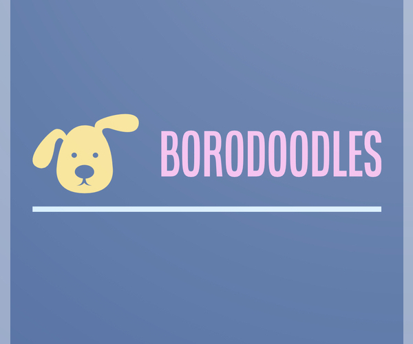 Medium Photo #1  Breeder Profile in STATESBORO, GA, USA